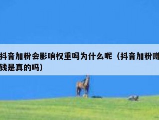 抖音加粉会影响权重吗为什么呢（抖音加粉赚钱是真的吗）