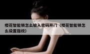 樱花智能锁怎么输入密码开门（樱花智能锁怎么设置指纹）