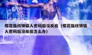 樱花指纹锁输入密码后没反应（樱花指纹锁输入密码后没反应怎么办）