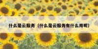 什么是云服务（什么是云服务有什么用呢）