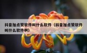 抖音加点赞软件叫什么软件（抖音加点赞软件叫什么软件啊）