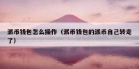 派币钱包怎么操作（派币钱包的派币自己转走了）