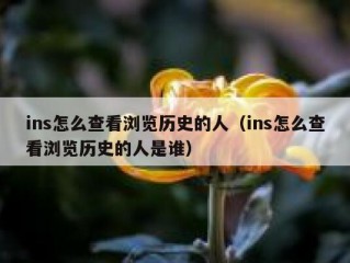 ins怎么查看浏览历史的人（ins怎么查看浏览历史的人是谁）