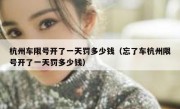 杭州车限号开了一天罚多少钱（忘了车杭州限号开了一天罚多少钱）