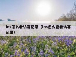 ins怎么看访客记录（ins怎么查看访客记录）