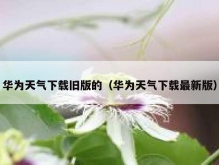 华为天气下载旧版的（华为天气下载最新版）