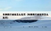 车辆限行被拍怎么处罚（如果限行被拍到怎么处罚）