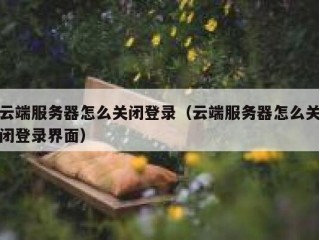 云端服务器怎么关闭登录（云端服务器怎么关闭登录界面）