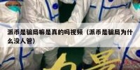 派币是骗局嘛是真的吗视频（派币是骗局为什么没人管）