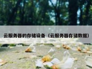 云服务器的存储设备（云服务器存储数据）