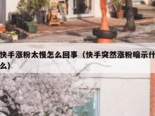 快手涨粉太慢怎么回事（快手突然涨粉暗示什么）