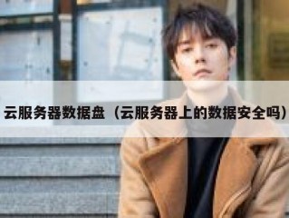 云服务器数据盘（云服务器上的数据安全吗）