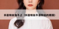 抖音粉丝加不上（抖音粉丝不涨粉丝的原因）