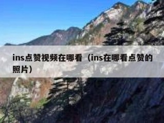 ins点赞视频在哪看（ins在哪看点赞的照片）