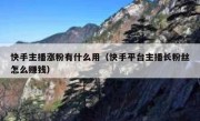 快手主播涨粉有什么用（快手平台主播长粉丝怎么赚钱）