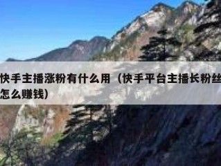 快手主播涨粉有什么用（快手平台主播长粉丝怎么赚钱）
