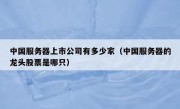 中国服务器上市公司有多少家（中国服务器的龙头股票是哪只）