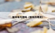 推特有代理吗（推特代理点）