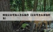 微信公众号加人怎么操作（公众号怎么添加好友）