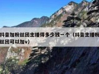 抖音加粉丝团主播得多少钱一个（抖音主播粉丝团可以加v）