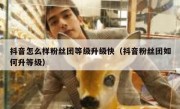抖音怎么样粉丝团等级升级快（抖音粉丝团如何升等级）