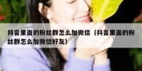 抖音里面的粉丝群怎么加微信（抖音里面的粉丝群怎么加微信好友）