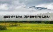 服务器梯子是什么（服务器搭梯子什么意思）
