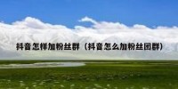 抖音怎样加粉丝群（抖音怎么加粉丝团群）