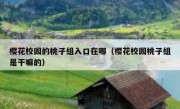 樱花校园的桃子组入口在哪（樱花校园桃子组是干嘛的）