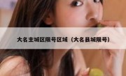 大名主城区限号区域（大名县城限号）