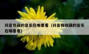 抖音收藏的音乐在哪里看（抖音我收藏的音乐在哪里看）