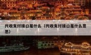 代收支付接口是什么（代收支付接口是什么意思）