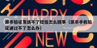 派币验证发送不了短信怎么回事（派币手机验证通过不了怎么办）