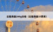 云服务器200g价格（云服务器1t费用）