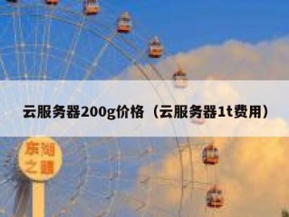 云服务器200g价格（云服务器1t费用）