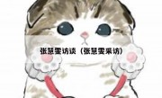 张慧雯访谈（张慧雯采访）