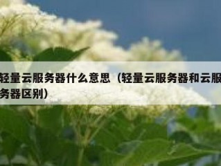 轻量云服务器什么意思（轻量云服务器和云服务器区别）