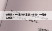 粉丝数1.1m是什么意思（粉丝12w是什么意思）