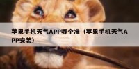 苹果手机天气APP哪个准（苹果手机天气APP安装）
