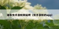 谁有快手涨粉网站啊（快手涨粉的app）
