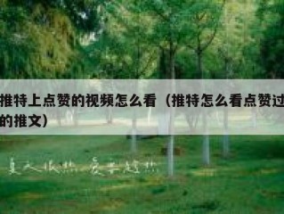 推特上点赞的视频怎么看（推特怎么看点赞过的推文）