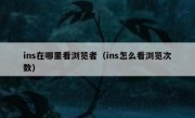 ins在哪里看浏览者（ins怎么看浏览次数）
