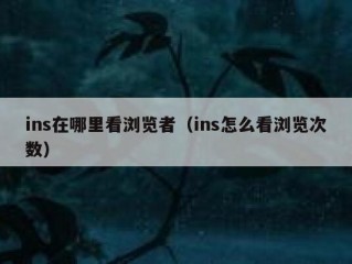 ins在哪里看浏览者（ins怎么看浏览次数）