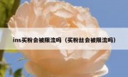 ins买粉会被限流吗（买粉丝会被限流吗）