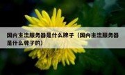 国内主流服务器是什么牌子（国内主流服务器是什么牌子的）