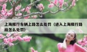 上海限行车辆上路怎么处罚（进入上海限行路段怎么处罚）