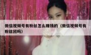 微信视频号有粉丝怎么赚钱的（微信视频号有粉丝团吗）