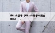tiktok属于（tiktok属于中国企业吗）