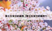 第三方支付的案例（第三方支付的案例?）