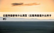 云服务器都有什么类型（云服务器是什么样子的）